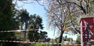 Πάρκο: Μελέτες με καθυστέρηση ή μελέτες “fast track” και μετέπειτα προβλήματα