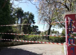 Πάρκο: Μελέτες με καθυστέρηση ή μελέτες “fast track” και μετέπειτα προβλήματα