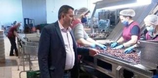 Σε μονάδα επεξεργασίας ελιών καλαμών στο Κεφαλόβρυσο ο αντιπεριφερειάρχης Αγροτικής Ανάπτυξης