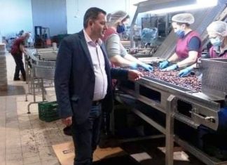 Σε μονάδα επεξεργασίας ελιών καλαμών στο Κεφαλόβρυσο ο αντιπεριφερειάρχης Αγροτικής Ανάπτυξης