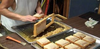 Θ. Βασιλόπουλος: Αναπτυξιακό εργαλείο στον πρωτογενή τομέα, η οικοτεχνία στη Δυτική Ελλάδα