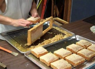 Θ. Βασιλόπουλος: Αναπτυξιακό εργαλείο στον πρωτογενή τομέα, η οικοτεχνία στη Δυτική Ελλάδα