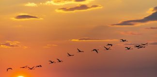 Η μαγεία του Μεσολογγίου γίνεται viral μέσα από τα βίντεο του Messolonghi by Locals