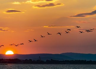 Σαββατοκύριακο με δράσεις Messolonghi by Locals