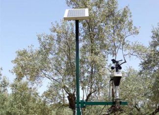 SmartOliveGrove: Η ευφυής γεωργία θεμέλιο για ανταγωνιστικότερη ελιά Καλαμών στην Αιτωλοακαρνανία
