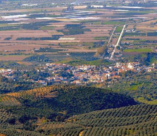 «Το Αγγελόκαστρο Τρέχει»: Αντίστροφη μέτρηση για τον 4ο Αγώνα Δρόμου