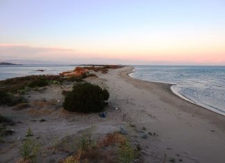 Ξεκίνησε η καταγραφή της ωοτοκίας της θαλάσσιας χελώνας Caretta caretta