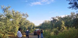 Μεγάλο έργο αγροτικής οδοποιίας στο Δήμο Μεσολογγίου