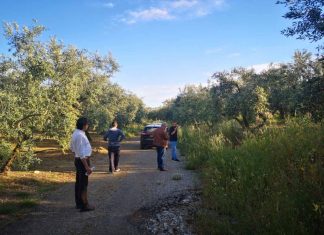 Μεγάλο έργο αγροτικής οδοποιίας στο Δήμο Μεσολογγίου