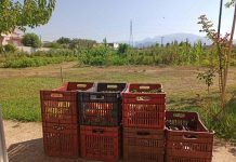 Δήμος Αγρινίου: Ξεκινούν οι αιτήσεις για παραχώρηση κηποτεμαχίων στο Δημοτικό Λαχανόκηπο