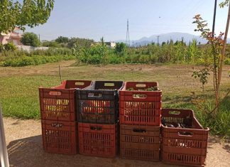 Κηπευτικά στο Κοινωνικό Παντοπωλείου του Δήμου προσφέρουν οι ωφελούμενοι του Δημοτικού Λαχανόκηπου