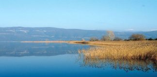 Σχέδιο δράσης για τρεις λίμνες της Αιτωλοακαρνανίας