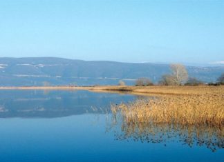 Παρατήρηση πουλιών αύριο στη Λίμνη Τριχωνίδα