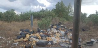 Εργασίες καθαρισμού στην Ερμίτσα από το Δήμο Αγρινίου