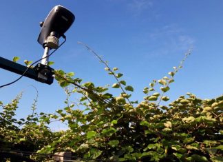 Ευφυής Γεωργία : Για ένα σύγχρονο και βιώσιμο παραγωγικό μοντέλο