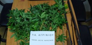 Συνελήφθη άνδρας σε χωριό του Αγρινίου με δενδρύλλια χασίς και καραμπίνες