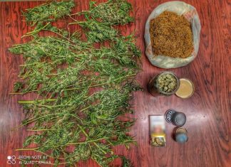 Καλλιεργούσε χασίς στην αυλή του σπιτιού του στο Μεσολόγγι