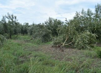 ΣΥΡΙΖΑ Οινιάδων: Η απόλυτη καταστροφή για τους αγρότες μας