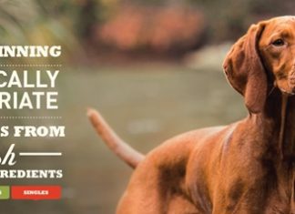 Γιατί να επιλέξετε ξηρά τροφή σκύλου Acana – Οι καλύτερες σκυλοτροφές στο χώρο σας άμεσα και οικονομικά