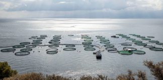 Εργατικό ατύχημα σε ιχθυοκαλλιέργεια στον Αστακό καταγγέλλει το Εργατικό Κέντρο