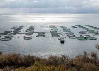 Ξηρόμερο : Διαμαρτυρία με αυτοκινητοπομπή ενάντια στο χωροταξικό των ιχθυοκαλλιεργειών