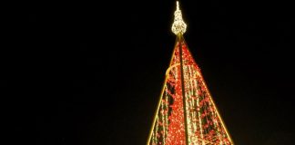 Φωταγωγήθηκε το Χριστουγεννιάτικο δένδρο στο Μεσολόγγι