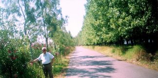 Το Αλσύλλιο στην λιμνοθάλασσα που νίκησε τον σκουπιδότοπο