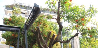 Ας ξεκαθαρίσει ο δήμος Αγρινίου τι ισχύει στην πλατεία