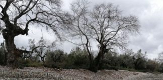 “Φούσκωσε” η Ερμίτσα και παρέσυρε τμήμα του αντιπλημμυρικού