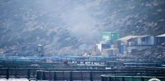 Παρέμβαση του Ινστιτούτου Θαλάσσιας Προστασίας «Αρχιπέλαγος» στη συνεδρίαση του Περιφερειακού Συμβουλίου Δυτικής Ελλάδας