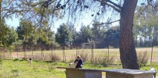 Δήμος Μεσολογγίου : Μέριμνα για τα αδέσποτα ζώα λόγω χαμηλών θερμοκρασιών