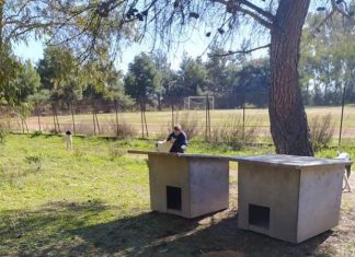 H στέγαση του σκύλου (και στο Αγρίνιο), όσο η επιδότηση ενοικίου σε μια οικογένεια για τρία – τέσσερα χρόνια…