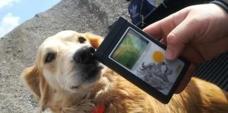 Δήμος Αγρινίου: Ένας χρόνος παράταση για το καταφύγιο αδέσποτων – Ξεπεράστηκε το μπλόκο του Δασαρχείου