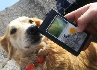 Δήμος Αγρινίου: Ένας χρόνος παράταση για το καταφύγιο αδέσποτων – Ξεπεράστηκε το μπλόκο του Δασαρχείου