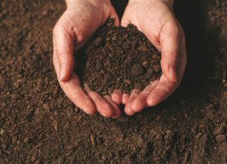 Η σημαντικότητα της ανάλυσης του εδάφους