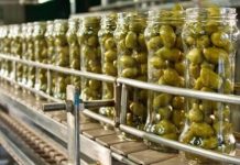 Μειωμένη παραγωγή φέτος στην επιτραπέζια ελιά «βλέπει» η ΠΕΜΕΤΕ