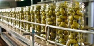 Η ΔΟΕΠΕΛ απαντά στους Μεσσήνιους: Ανακρίβεια η «παγκόσμια κατοχύρωση» για το ΠΟΠ «Ελιά Καλαμάτας»