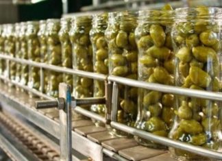 Επιτραπέζια ελιά: Εντεινόμενη η έλλειψη εργατών, λέει η ΔΟΕΠΕΛ