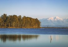 Δήμος Μεσολογγίου: Διεκδικεί 4 εκατ. ευρώ για παρεμβάσεις σε Κλείσοβα και Τουρλίδα