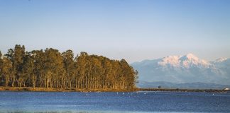 Προτάσεις για καθαρή και ζωντανή Κλείσοβα
