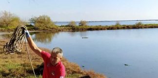 Η Ε.Ο.Ε.Δ ανέκλυσε 30 ελαστικά από τη Λιμνοθάλασσα της Κλείσοβας