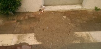 Αποκατάσταση ζημιών στο οδόστρωμα από τα έργα της Cosmote ζητά ο Εμπορικός Σύλλογος Μεσολογγίου