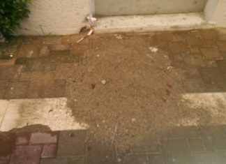 Αποκατάσταση ζημιών στο οδόστρωμα από τα έργα της Cosmote ζητά ο Εμπορικός Σύλλογος Μεσολογγίου
