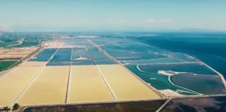 Ημερίδα στην Αθήνα : «Αλυκές και Πολιτιστικός Τουρισμός: Μεσολόγγι & Δ. Λέσβος»