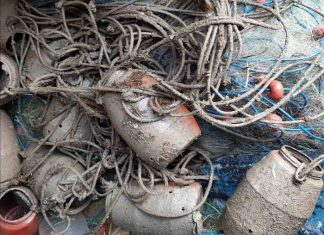 Παράνομα αλιευτικά εργαλεία κατέσχεσε το Λιμεναρχείο στο Κρυονέρι