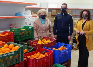 Mεγάλη προσφορά από το Συνεταιρισμό Εσπεριδοκαλλιεργητών Στράτου