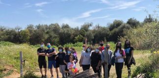 Εθελοντικές δράσεις από τη “Green aGREENio”