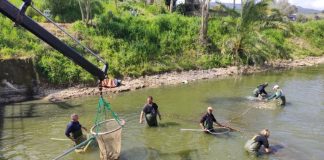 Βόνιτσα : Μεταφορά ψαριών από τη λίμνη Βουλκαριά στην Παμβώτιδα