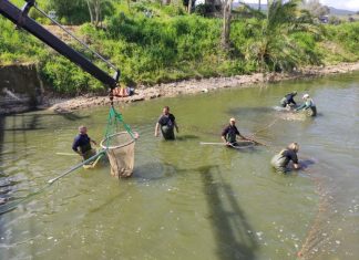 Βόνιτσα : Μεταφορά ψαριών από τη λίμνη Βουλκαριά στην Παμβώτιδα