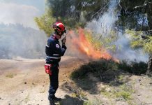 Σε Αγρίνιο και Βόνιτσα τα πρώτα πρόστιμα της αντιπυρικής περιόδου